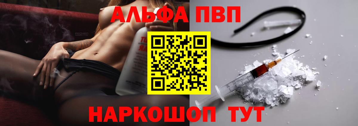 APVP СК Бердск