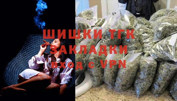 гидра Алексеевка
