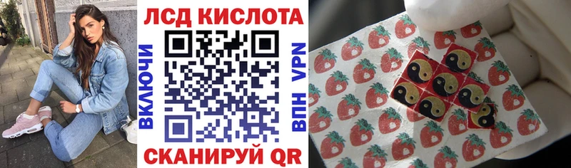 как найти закладки  Бердск  Наркотические марки 1,8мг 