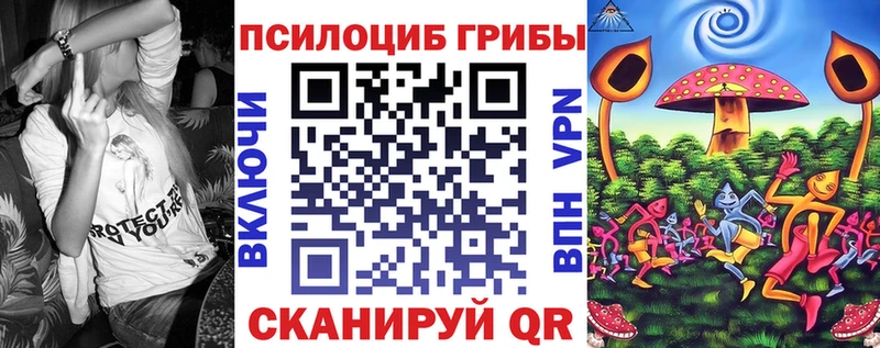 купить наркотик  Бердск  Галлюциногенные грибы Psilocybine cubensis 