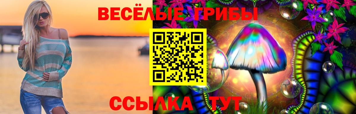 Псилоцибиновые грибы GOLDEN TEACHER  Вход с VPN  Бердск 